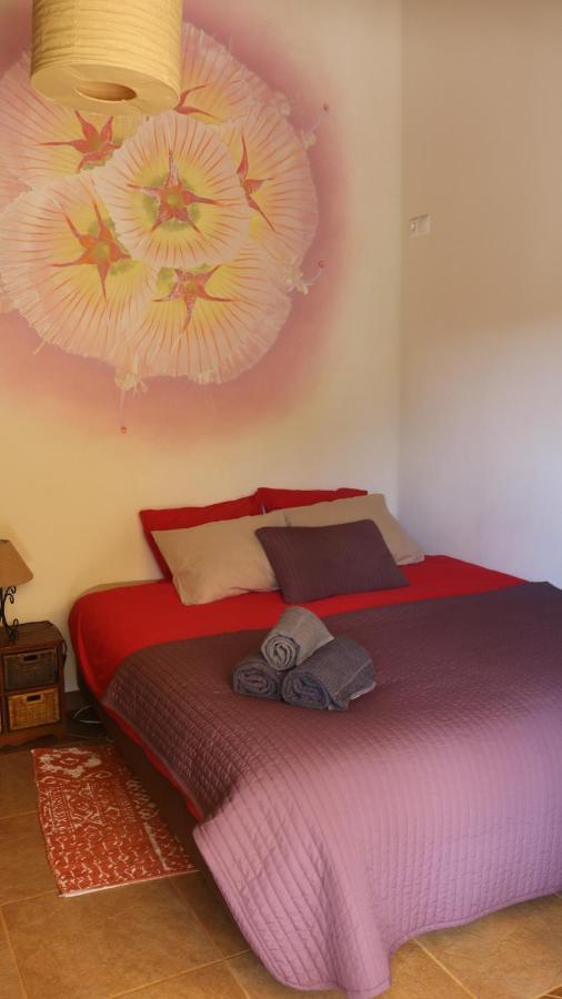 Vida Pura Guesthouse オデセイシェ エクステリア 写真